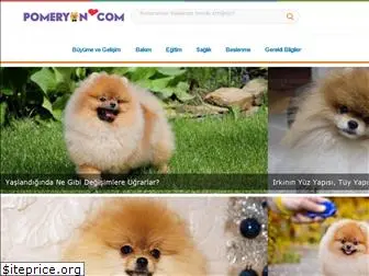 pomeryan.com