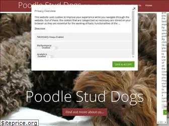 poodlestuddogs.co.uk