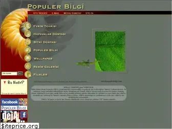 populerbilgi.com