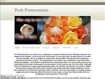 poshpomeranians.com