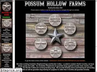 possumhollowfarms.com