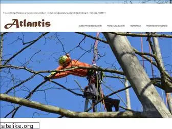 potatura-alberi-treeclimbing.it