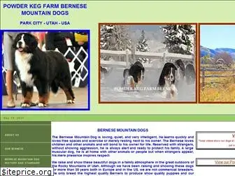 powderkegbernese.com