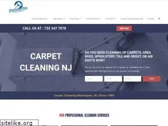 powerprocarpetcleaning.com