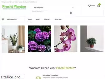 prachtplanten.nl