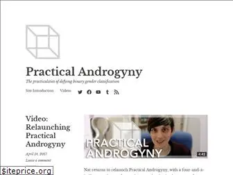 practicalandrogyny.com