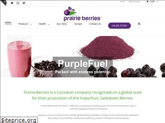 prairieberries.com