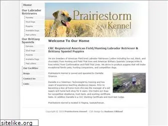 prairiestorm.ca