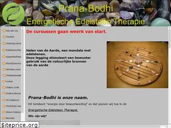 prana-bodhi.nl