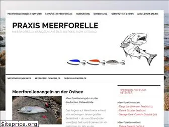 praxis-meerforelle.de