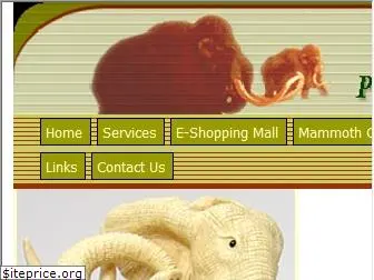 precious-mammoth.com