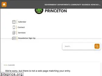 princetonfiredept.com