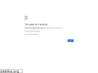 privacygenerator.net