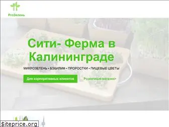 pro-zelen.ru