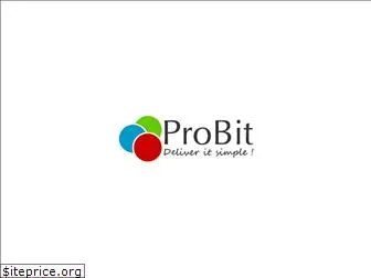 probit-group.com