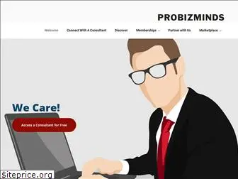probizminds.com