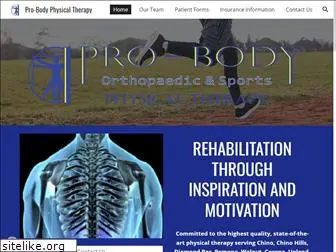 probodypt.com