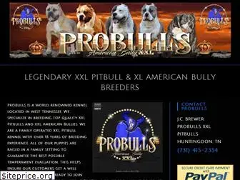 probullsxxlpitbulls.com