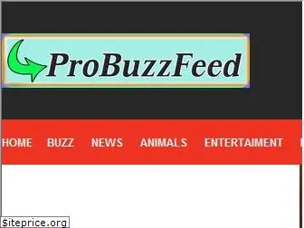 probuzzfeed.com