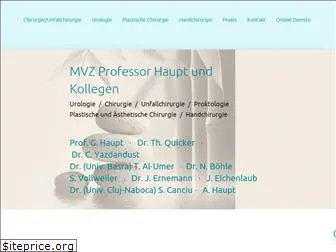 prof-haupt.de