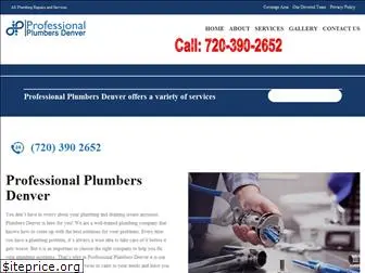 professional-plumbers-denver.com