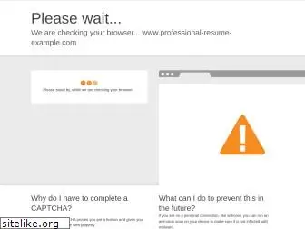 professional-resume-example.com