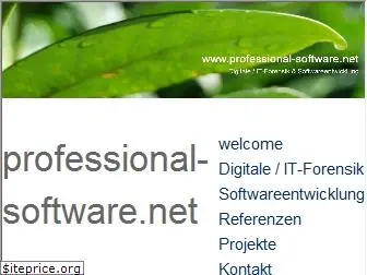 professional-software.net
