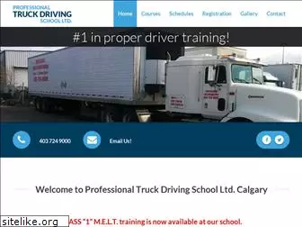 professionaltruckdrivingschoolltd.com