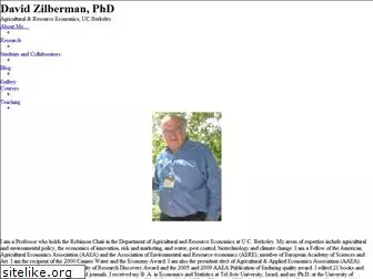professorzilberman.com