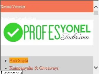 profesyonelindir.com