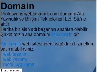 profesyonelwebtasarimi.com