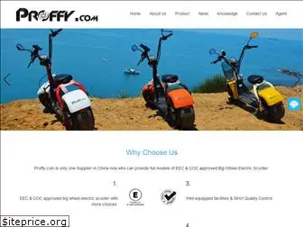 proffyescooter.com
