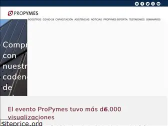 programapropymes.com