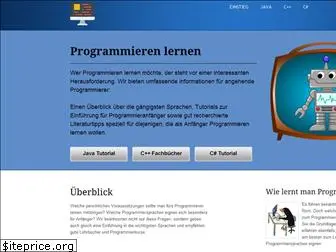 programmierenlernen24.de