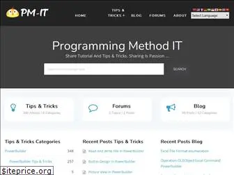programmingmethodsit.com