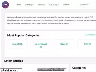 programmingmindset.com