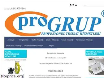 progrup.net