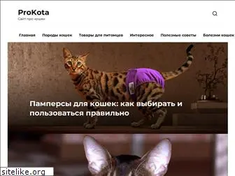 prokota24.ru