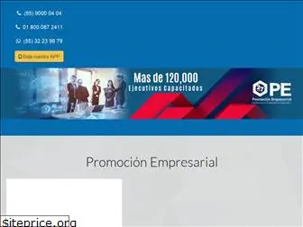 promocionempresarial.com.mx