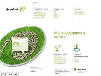 promoprofi.ru