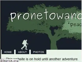 pronetowander.net