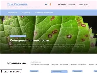 prorasteniya.com