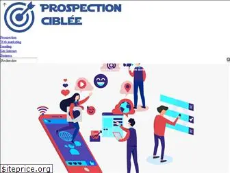 prospection-ciblee.com