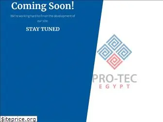 protecegypt.com