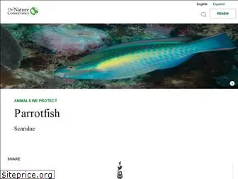 protectparrotfish.com