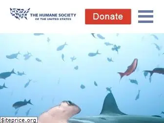 protectsharks.org