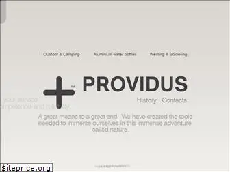 providusit.com