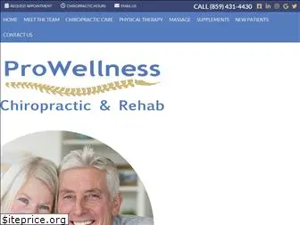 prowellnesschiropractic.com