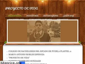 proyectorobles.weebly.com