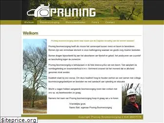 pruningboomverzorging.nl